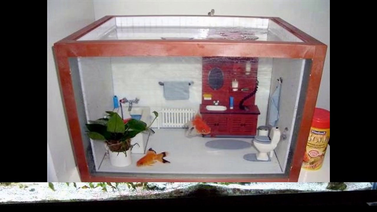 DIY Aquarium Decor Ideas
 Easy Diy ideas for aquarium decor