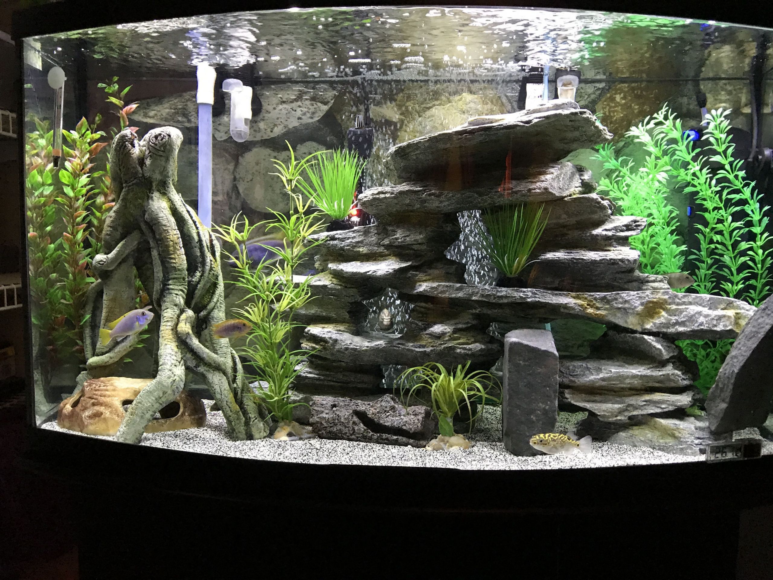 DIY Aquarium Decor Ideas
 21 Best Aquascaping Design Ideas to Decor Your Aquarium