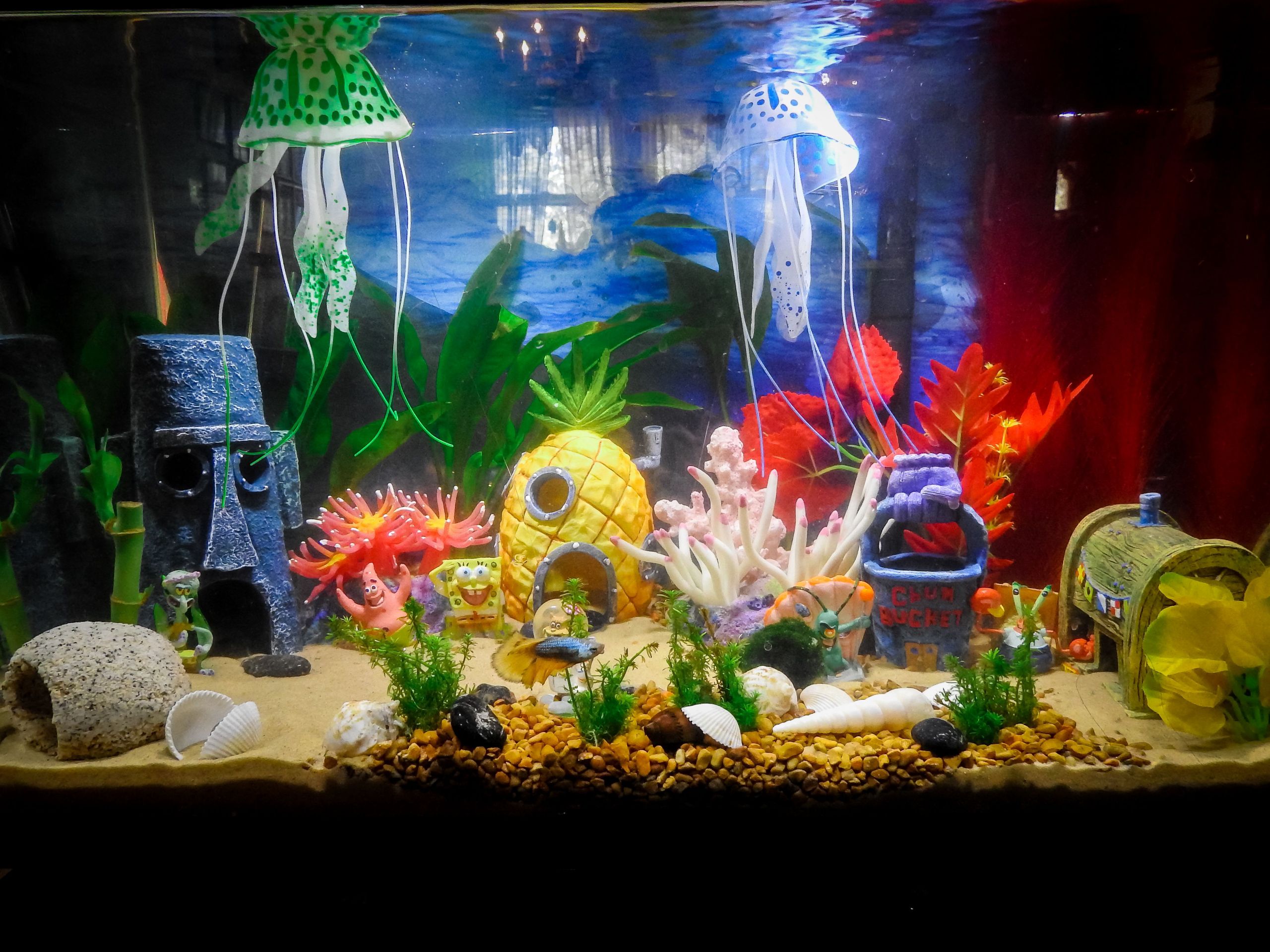 DIY Aquarium Decor Ideas
 Aquarium Decorations Diy 105 Meowlogy