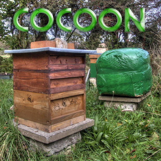 DIY Beehive Plans
 9 DIY Bee Hives With Free Plans And Tutorials Shelterness