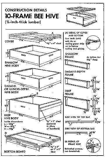 DIY Beehive Plans
 How to Build a Beehive