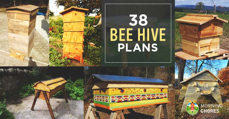 DIY Beehive Plans
 38 DIY Bee Hive Plans with Step by Step Tutorials Free