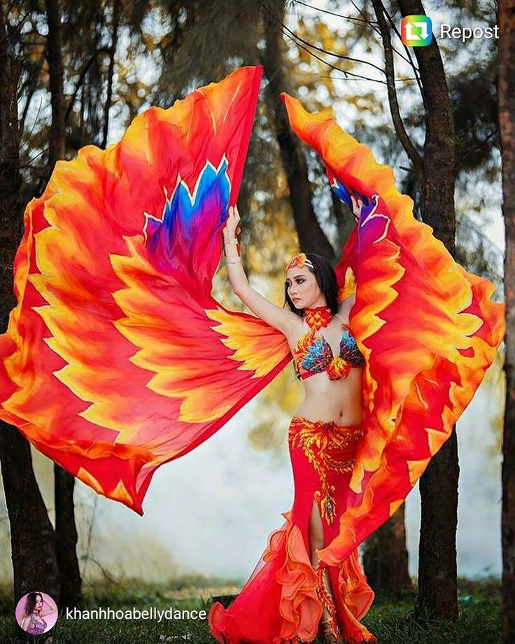 DIY Belly Dancer Costume
 DIY Phoenix Costume