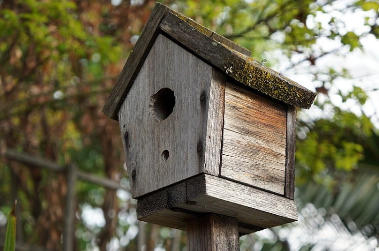 DIY Birdhouse For Kids
 10 Creative but Simple DIY Birdhouses to Make with Your Kids