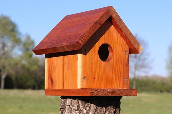 DIY Birdhouse Plans
 Bird Houses with Romansfield School InterActionMK