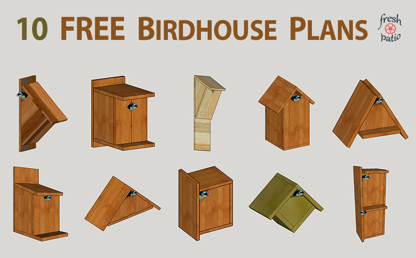 DIY Birdhouse Plans
 10 FREE DIY Birdhouse Plans Built for $3 Simple No