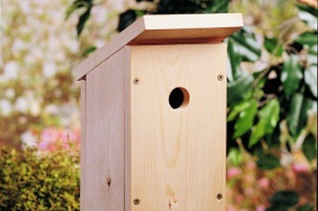 DIY Birdhouse Plans
 e Board DIY Birdhouse