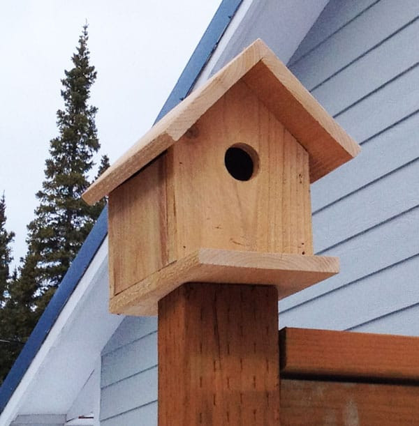 DIY Birdhouse Plans
 10 DIY Birdhouses For Your Feathered Friends