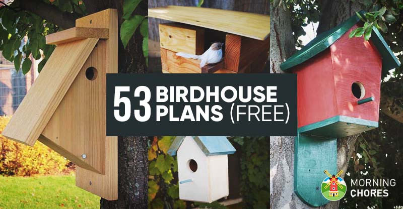 DIY Birdhouse Plans
 53 DIY Bird House Plans that Will Attract Them to Your Garden