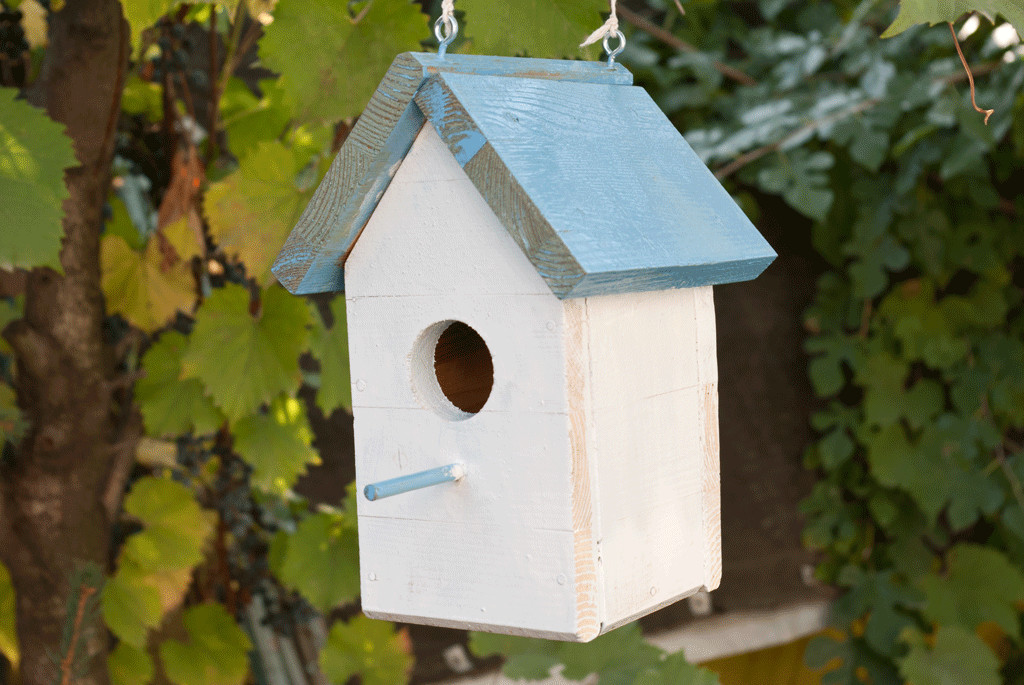 DIY Birdhouse Plans
 How to build a bird house