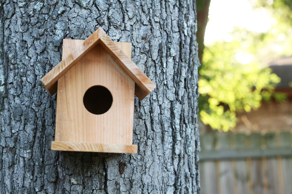 DIY Birdhouse Plans
 Build a Cedar Birdhouse for $2