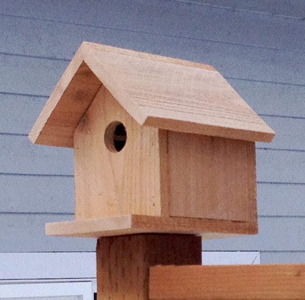 DIY Birdhouse Plans
 53 DIY Bird House Plans that Will Attract Them to Your Garden