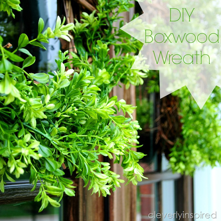 DIY Boxwood Wreath
 DIY Boxwood Wreath Cleverly Inspired