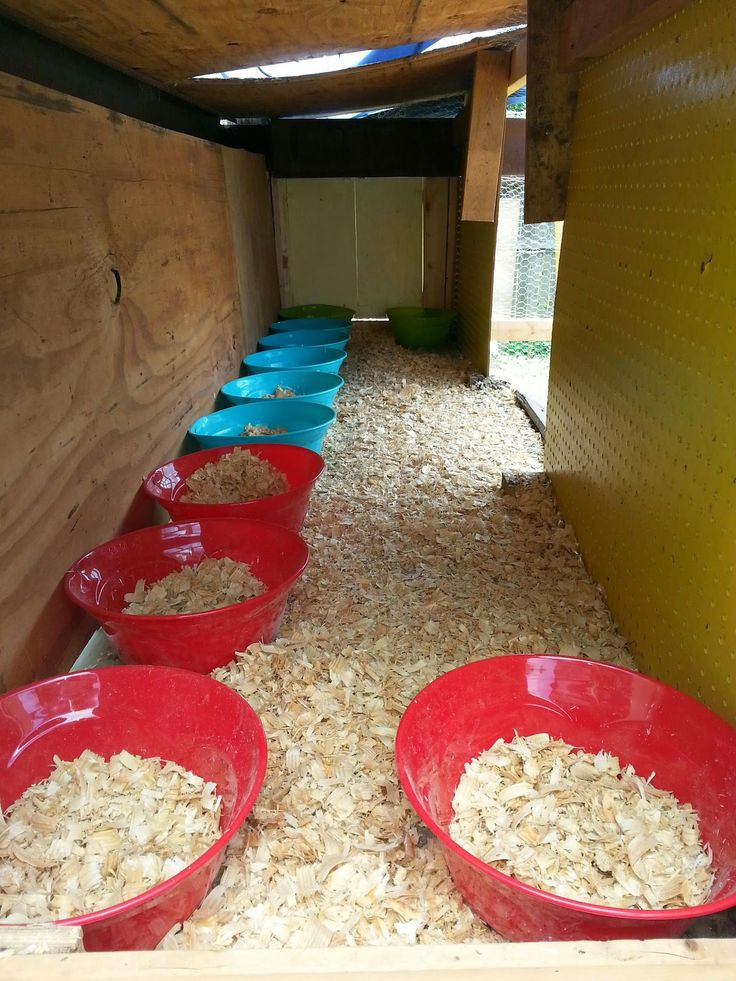 DIY Breeding Box
 Krafty Kritters Easy & cheap nesting boxes for hens