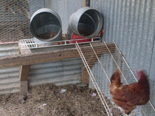 DIY Breeding Box
 10 DIY Nesting Boxes Ideas From Around The World — Types