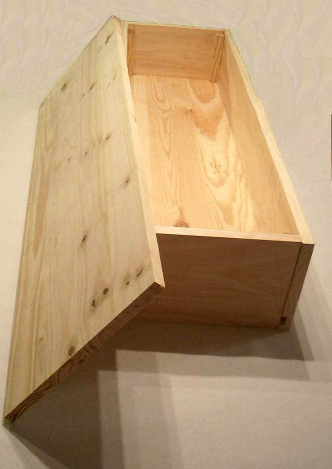 DIY Casket Plans
 Download Build Your Own Coffin Kit Plans DIY workbench