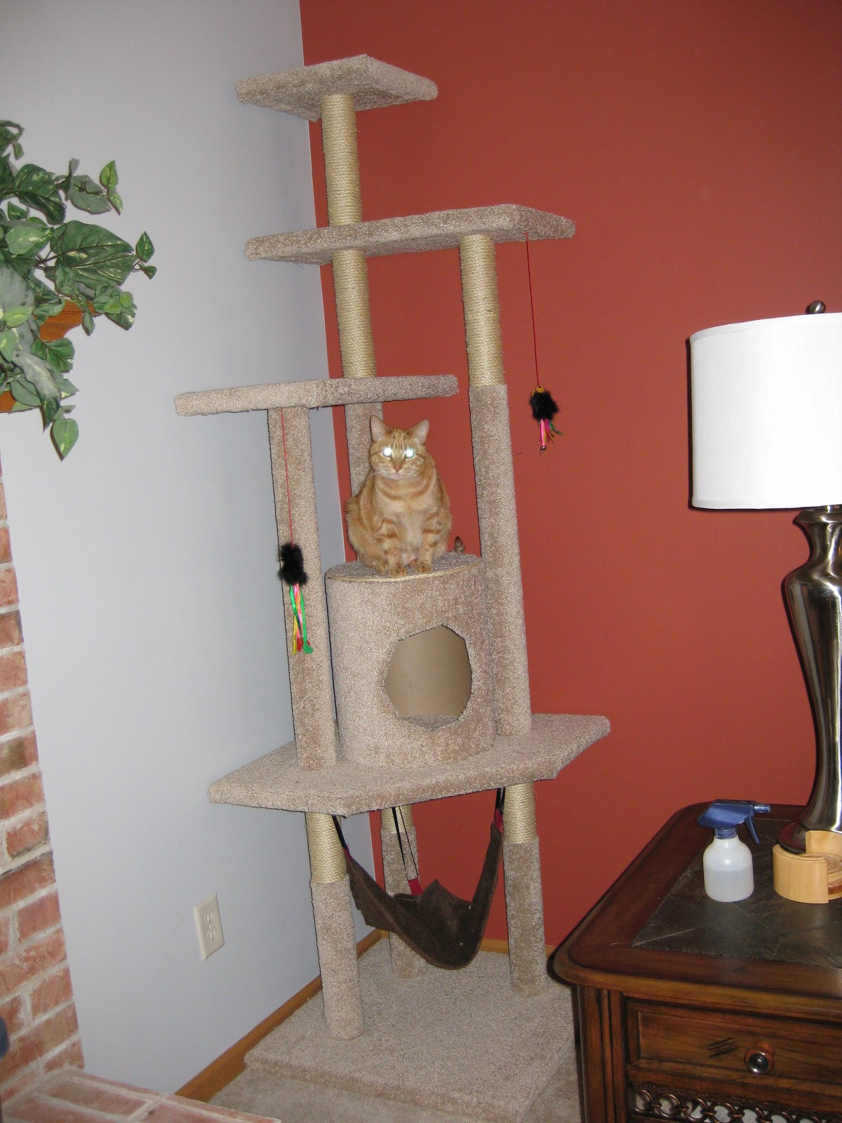 DIY Cat Condo Plans
 Pickle Perfect How to Build a Cat Tree