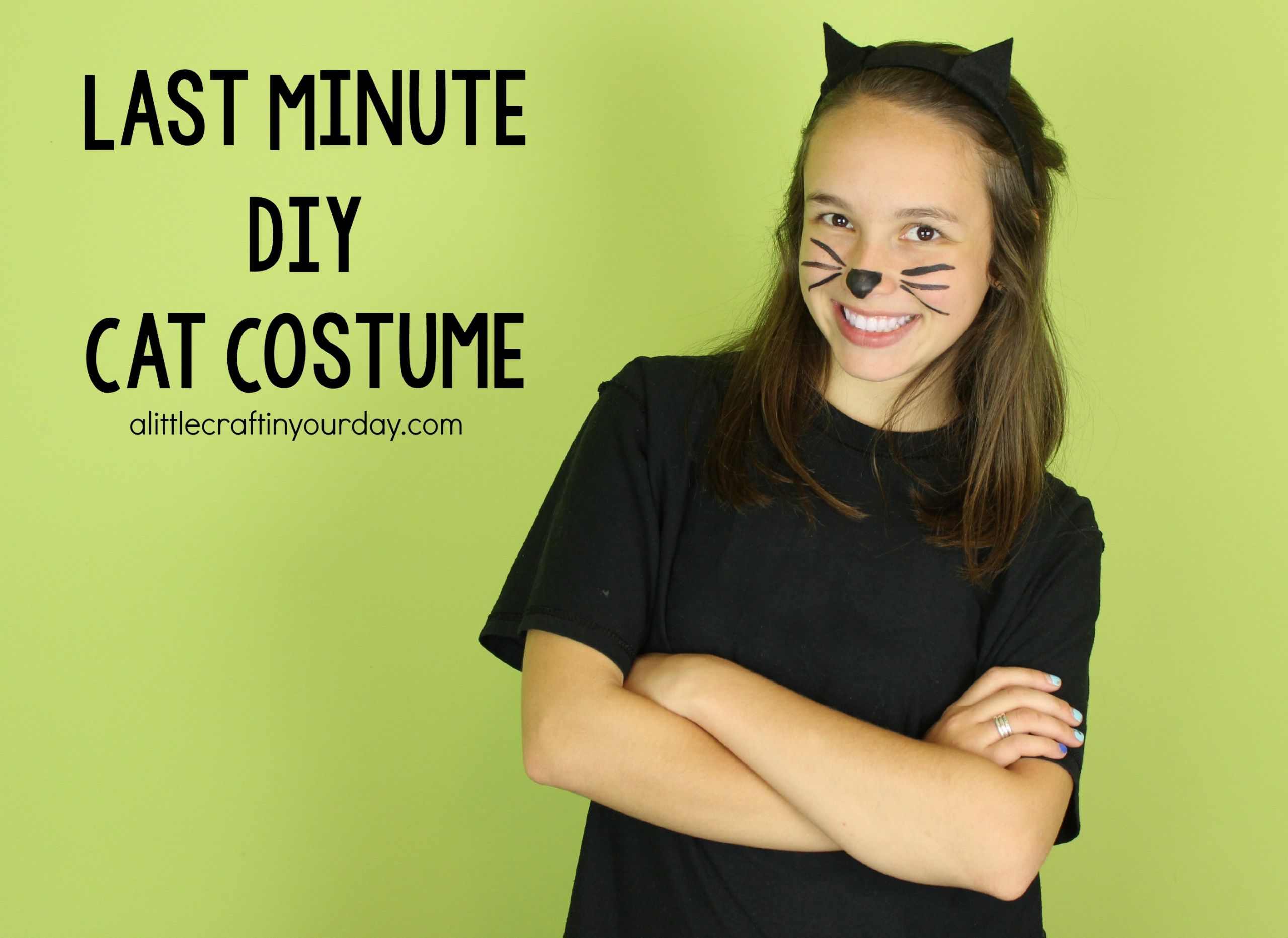 DIY Cat Costume For Adults
 DIY Cat Costume A Little Craft In Your Day