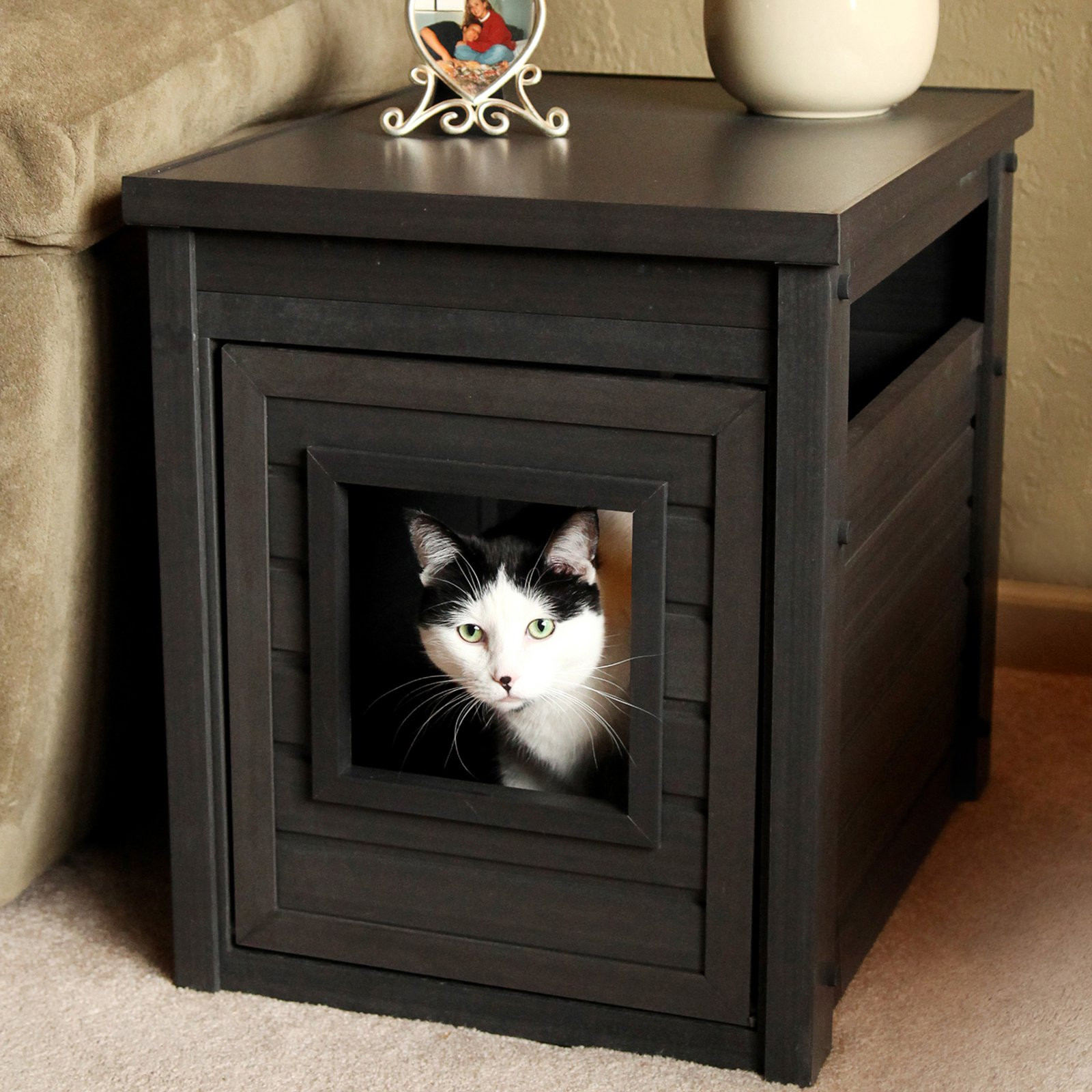 DIY Cat Litter Box Furniture
 An Easy DIY Cat Litter Box Ideas – HomesFeed