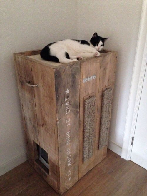 DIY Cat Litter Box Furniture
 8 Creative Ways to Hide Your Cat s Litter Box