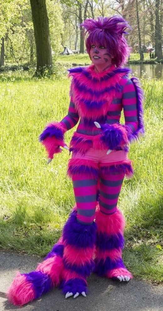 DIY Cheshire Cat Costume
 Cheshire Cat Costume