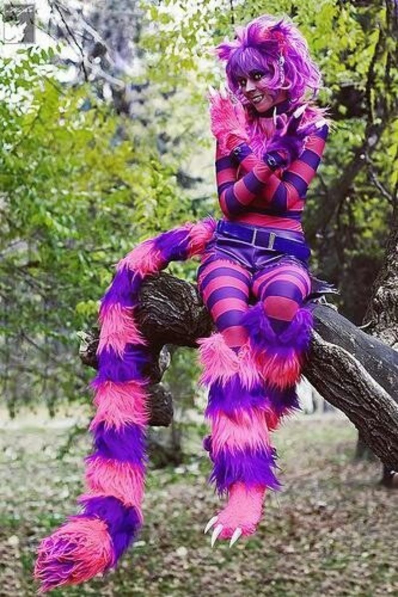 DIY Cheshire Cat Costume
 30 DIY Halloween Costume Ideas
