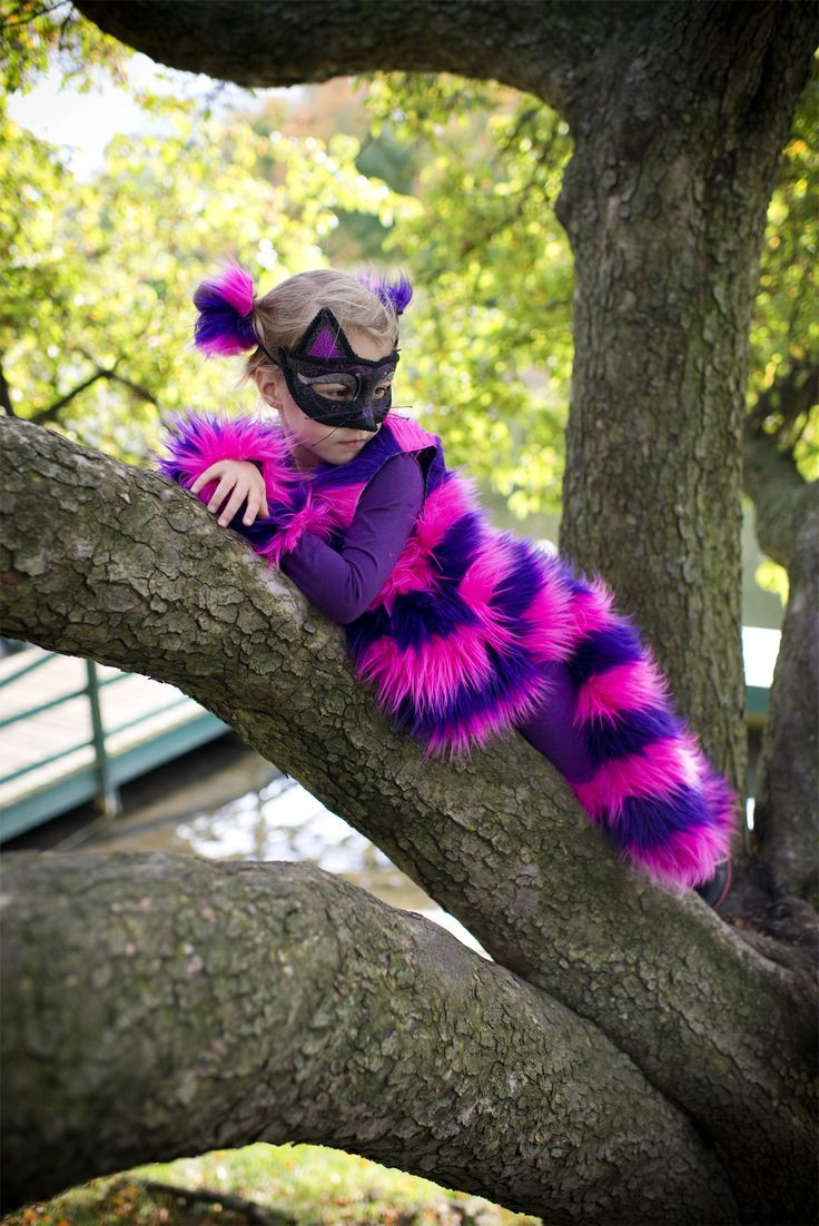 DIY Cheshire Cat Costume
 Best 25 Diy cat costume ideas on Pinterest