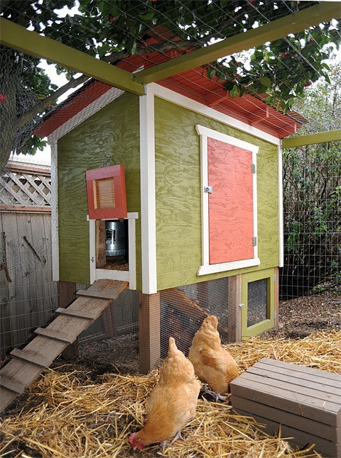 DIY Chicken Coop Plans Free
 61 Free DIY Chicken Coop Plans & Ideas That Are Easy to Build