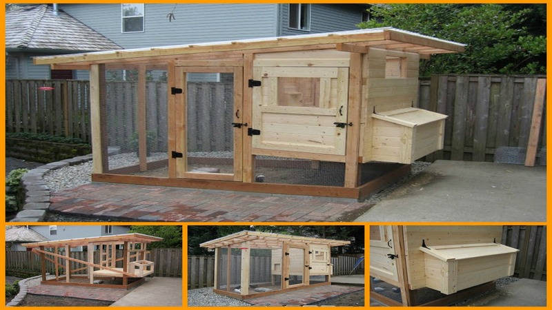 DIY Chicken Coop Plans Free
 DIY Chicken Coop Plans