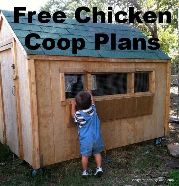 DIY Chicken Coop Plans Free
 61 Free DIY Chicken Coop Plans & Ideas That Are Easy to Build