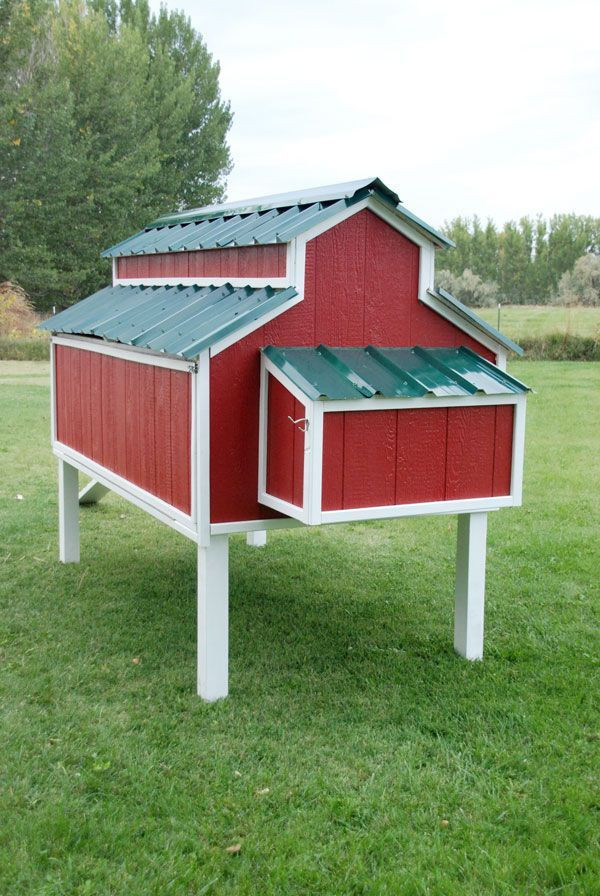 DIY Chicken Coop Plans Free
 Free Plans for an Awesome Chicken Coop The Home Depot