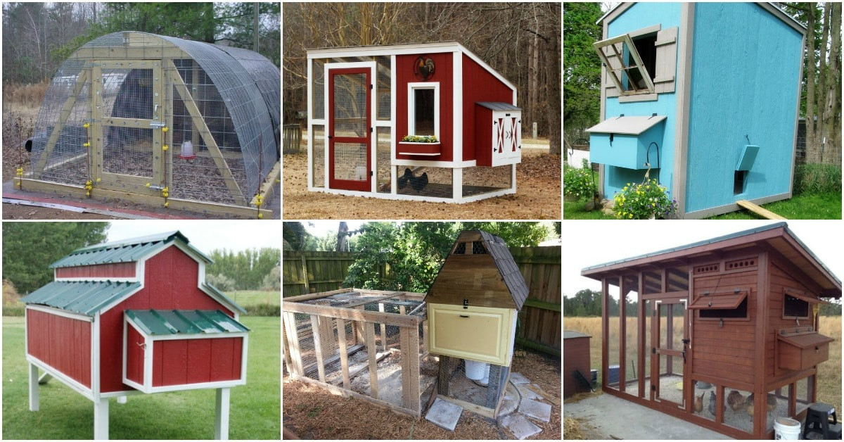 DIY Chicken Coop Plans Free
 20 Free DIY Chicken Coop Plans You Can Build This Weekend