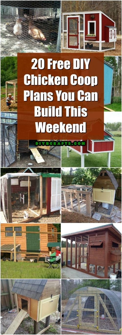 DIY Chicken Coop Plans Free
 20 Free DIY Chicken Coop Plans You Can Build This Weekend