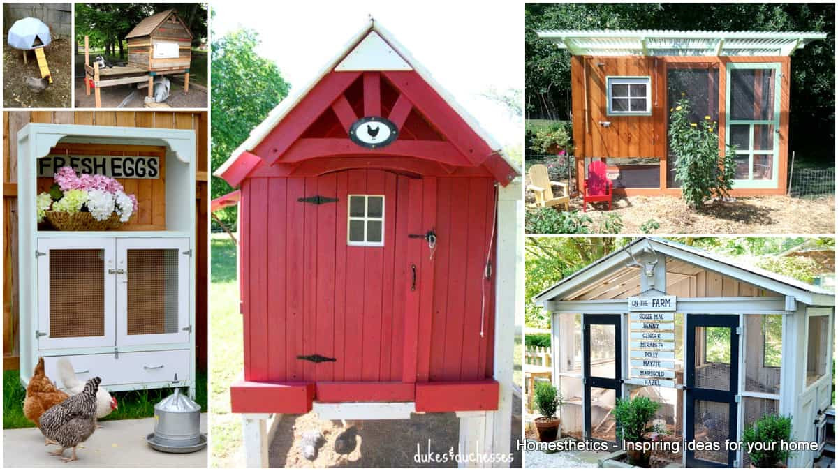 DIY Chicken Coop Plans Free
 57 DIY Chicken Coop Plans in Easy to Build Tutorials 100