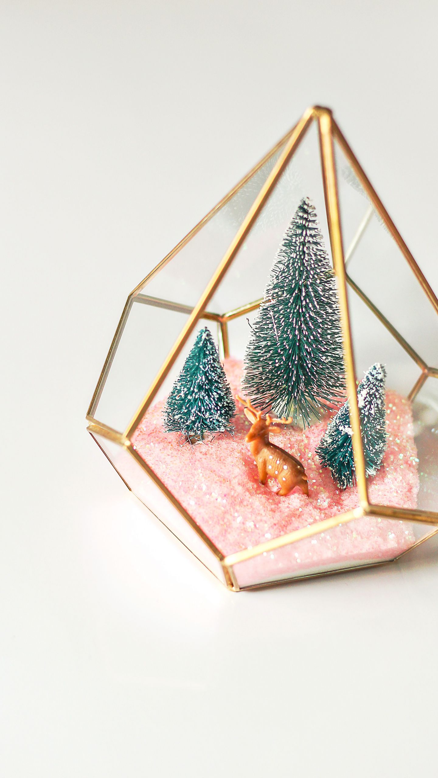 DIY Christmas Pictures
 Modern Christmas Terrarium DIY Easy Christmas Craft Ideas