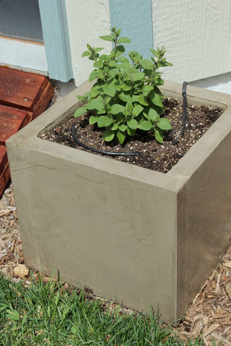 DIY Concrete Planter Box
 DIY Modern Minimal Concrete Planter Boxes