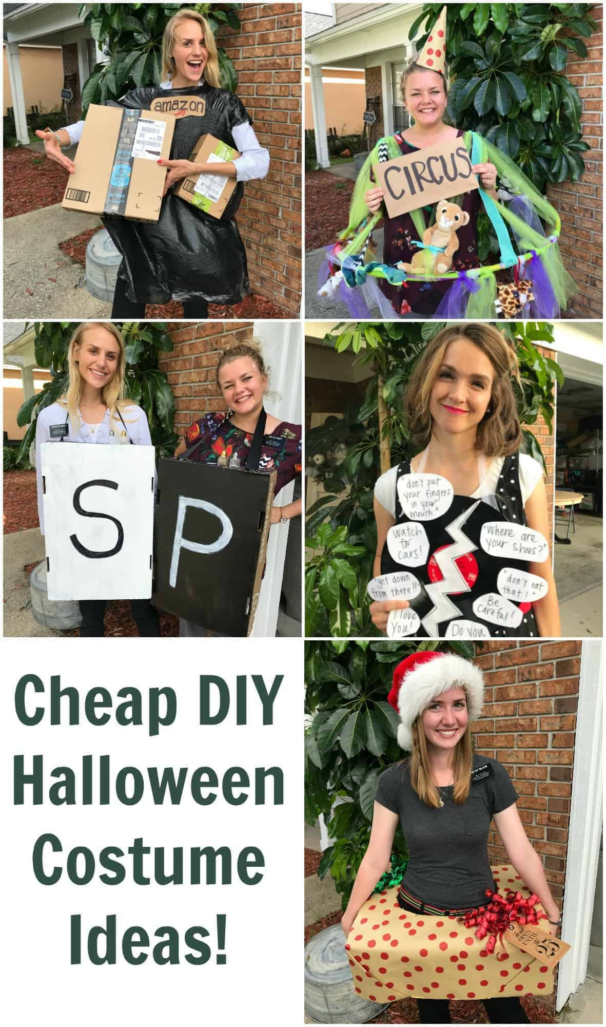 DIY Costume Ideas
 Cheap DIY Halloween Costume Ideas