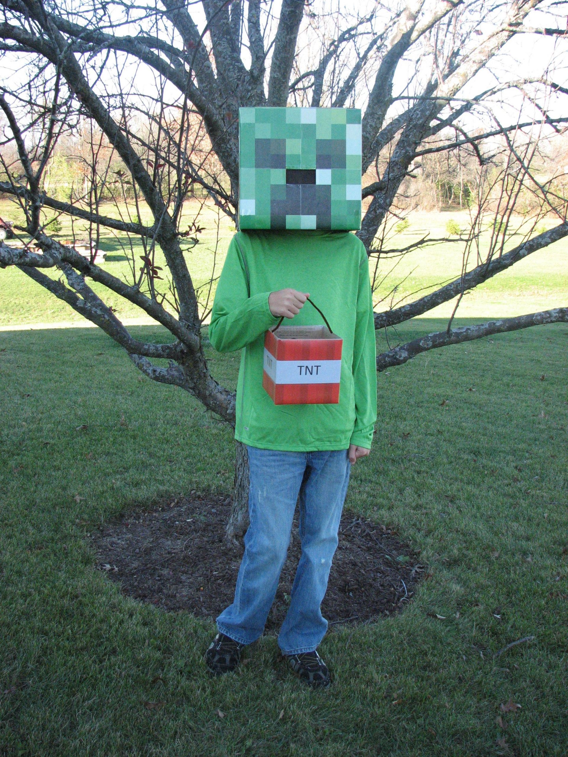 DIY Creeper Costume
 Minecraft Creeper Costume