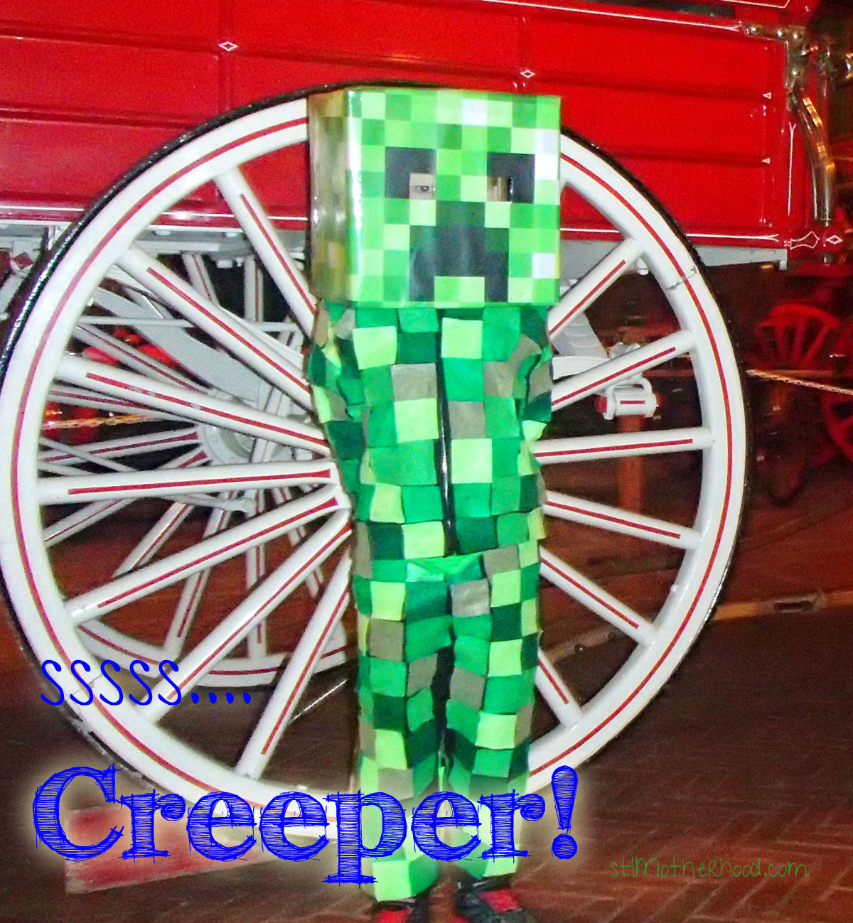 DIY Creeper Costume
 Minecraft Creeper Halloween Costume DIY