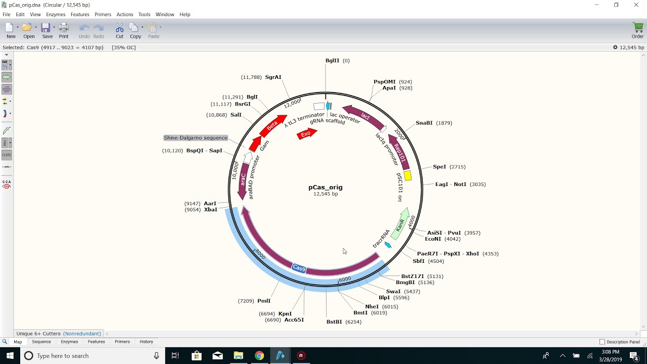 DIY Crispr Kit
 How to hack a DIY CRISPR kit