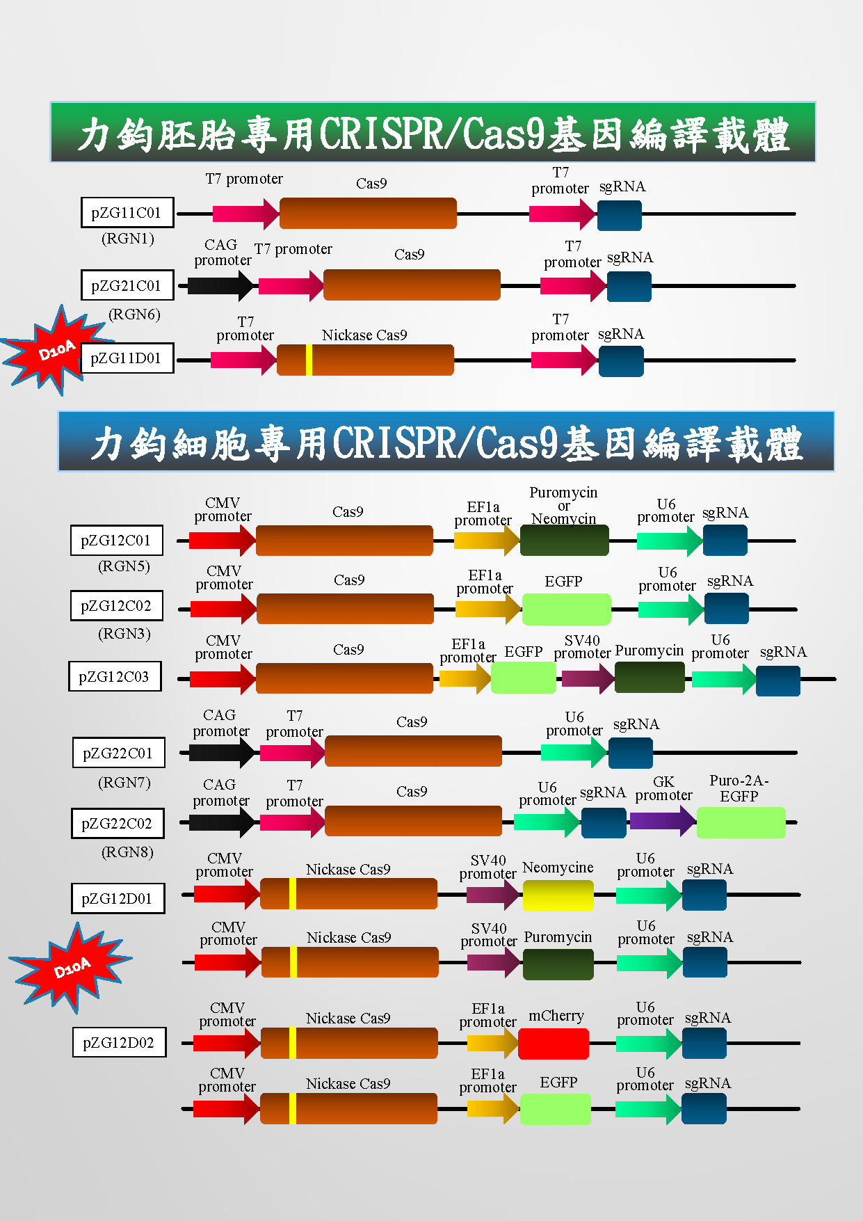 DIY Crispr Kit
 Zgenebio provides CRISPR DIY construction kit 25rxn