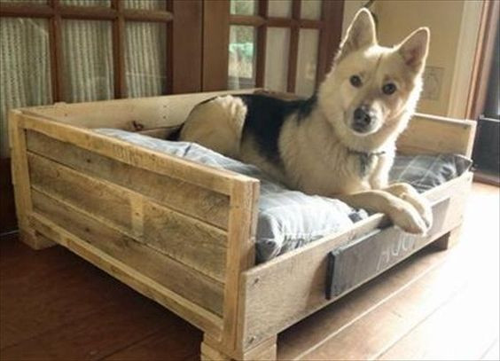 DIY Dog Bed For Big Dogs
 diy dog beds for large dogs make me Pinterest