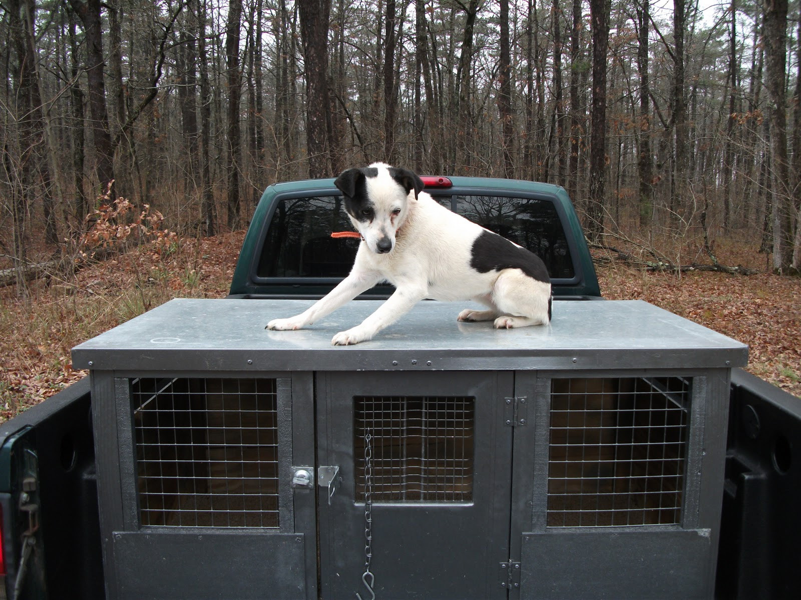 DIY Dog Box
 Woodworking Plans Can Crusher Homemade Dog Boxes Wooden Plans