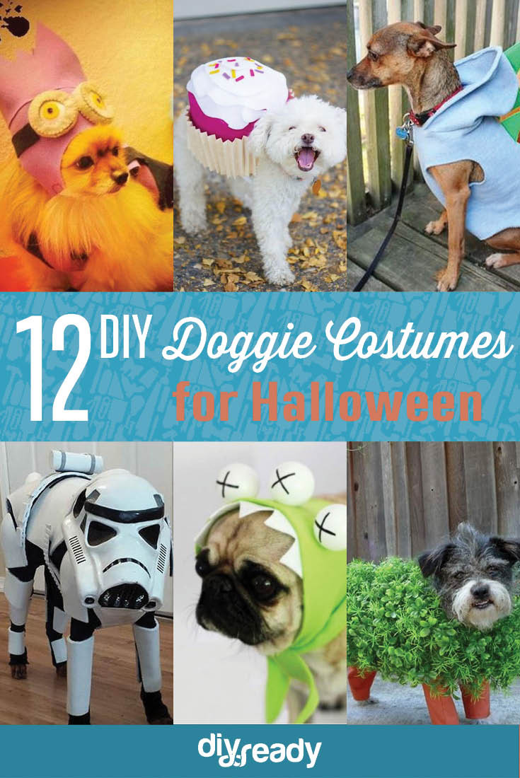 DIY Dog Costumes For Adults
 DIY Dog Costume Ideas QUIZ What s Your Dog s Costume