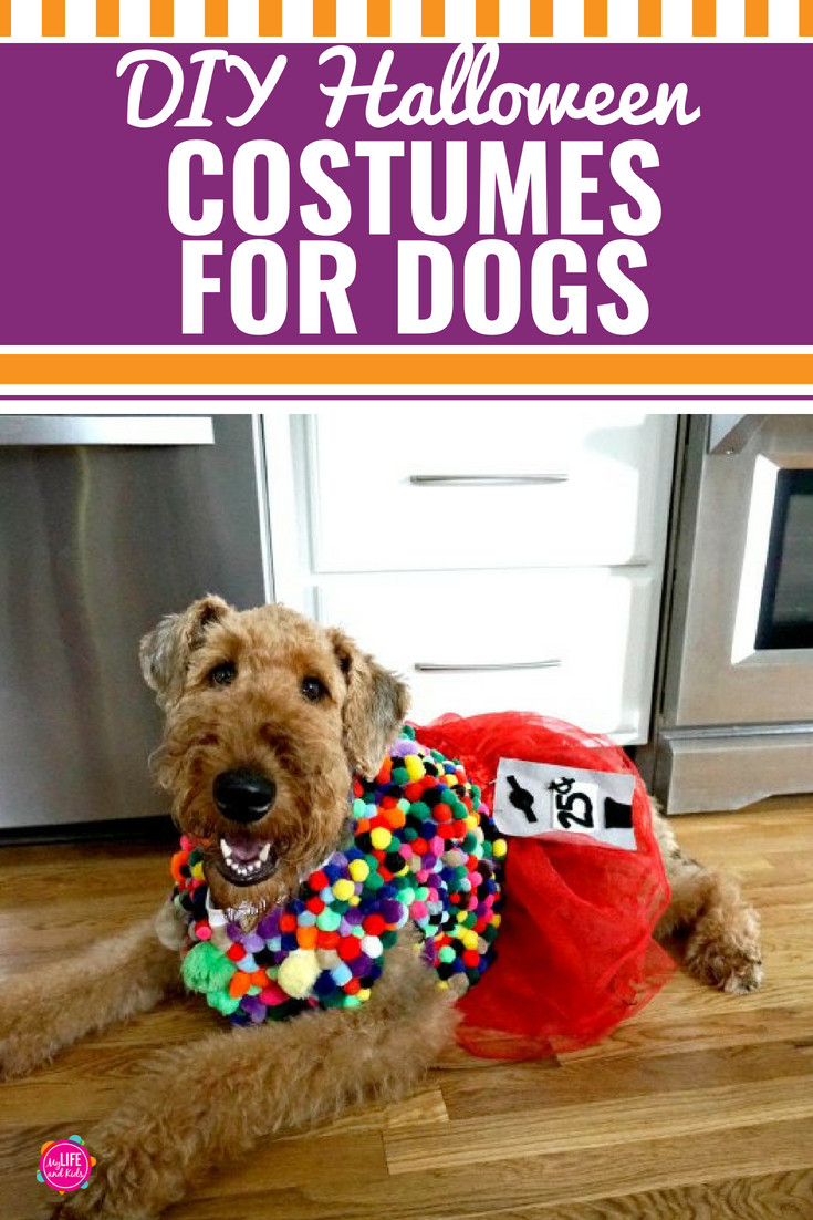DIY Dog Costumes For Halloween
 DIY Halloween Costumes for Dogs My Life and Kids