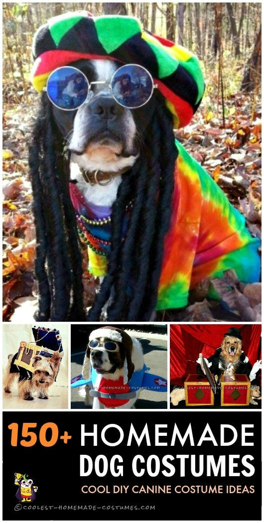 DIY Dog Costumes For Halloween
 157 best images about Pet Halloween Costumes on Pinterest