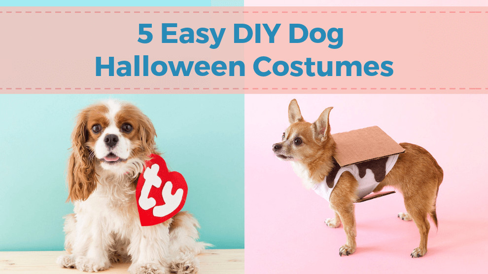 DIY Dog Halloween Costume
 5 Easy DIY Dog Halloween Costumes Charleston Dog Walker