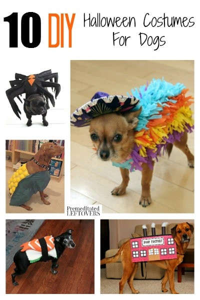 DIY Dog Halloween Costume
 10 DIY Halloween Costumes for Dogs