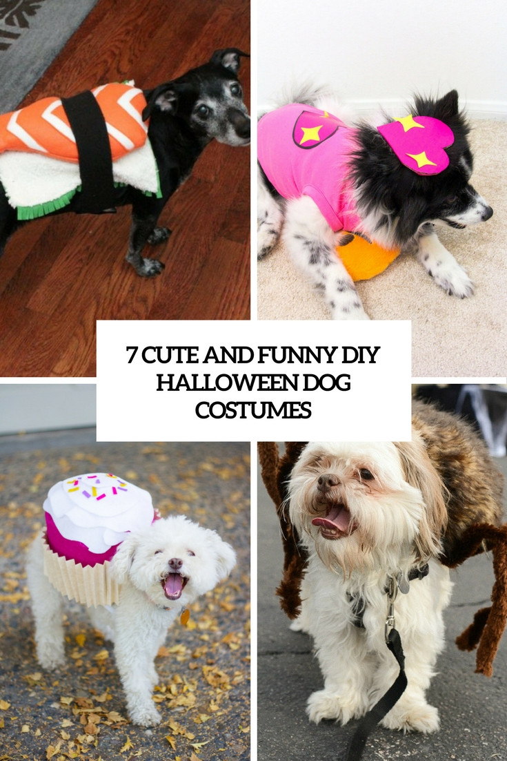 DIY Dog Halloween Costume
 7 Funny And Cute DIY Halloween Dog Costumes Styleoholic