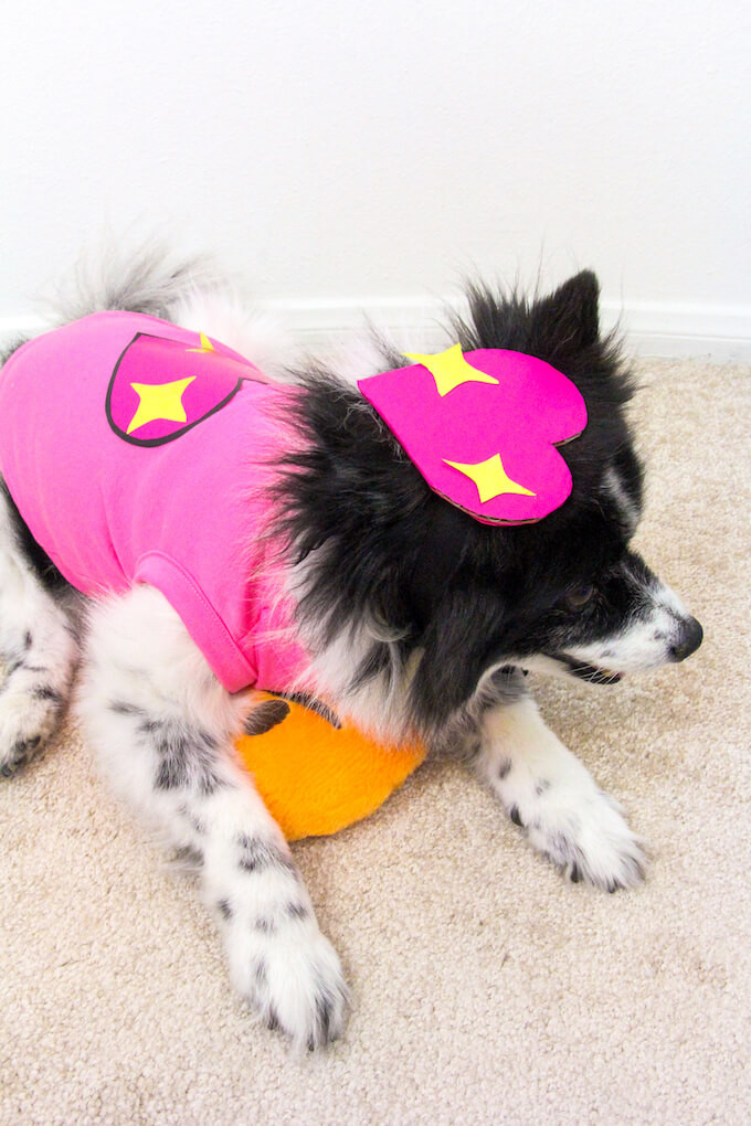 DIY Dog Halloween Costume
 7 Funny And Cute DIY Halloween Dog Costumes Styleoholic